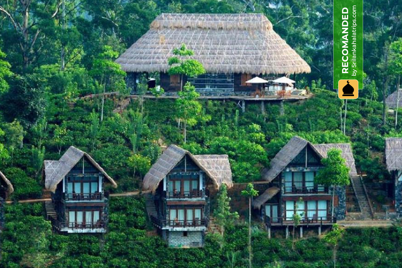 98 acres resort halaltrips