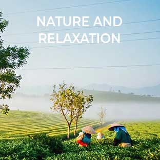 Nature and Relaxation