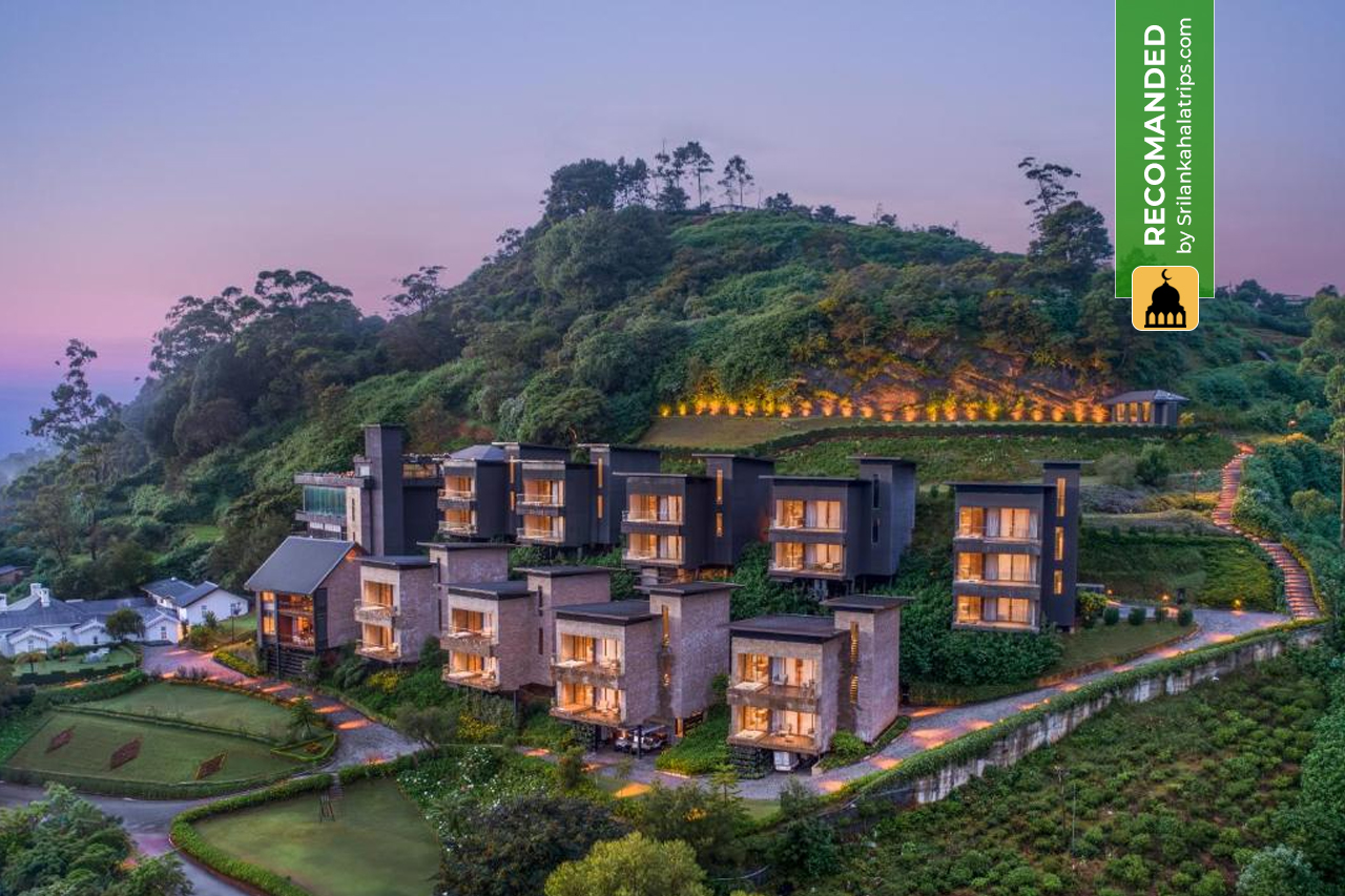 golden ridge